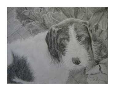 Pencil sketch of Jake, dog in the pumpkin patch